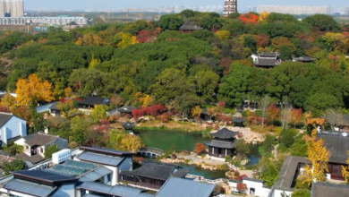 Tiger Hill Suzhou: A Complete Travel Guide (2025)